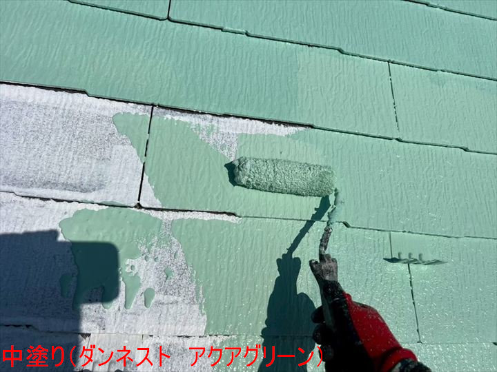 中塗り（ダンネスト　アクアグリーン）